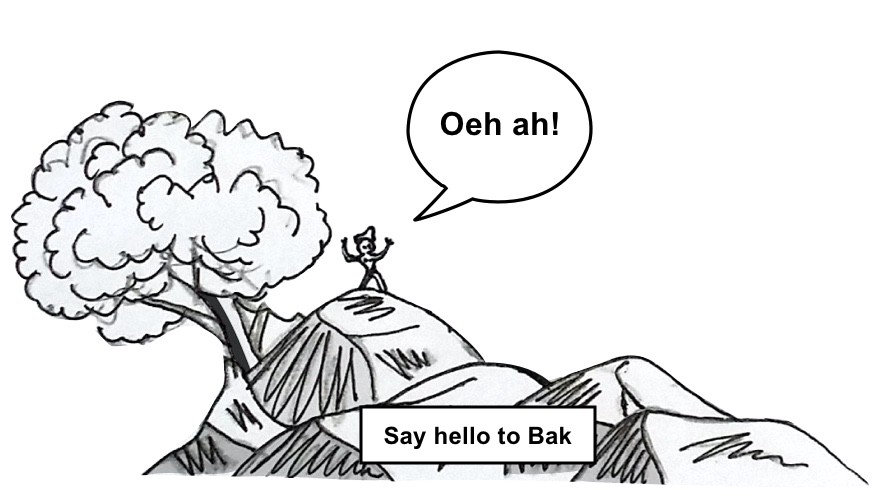 Bak standing on rock under a tree, introducing himself