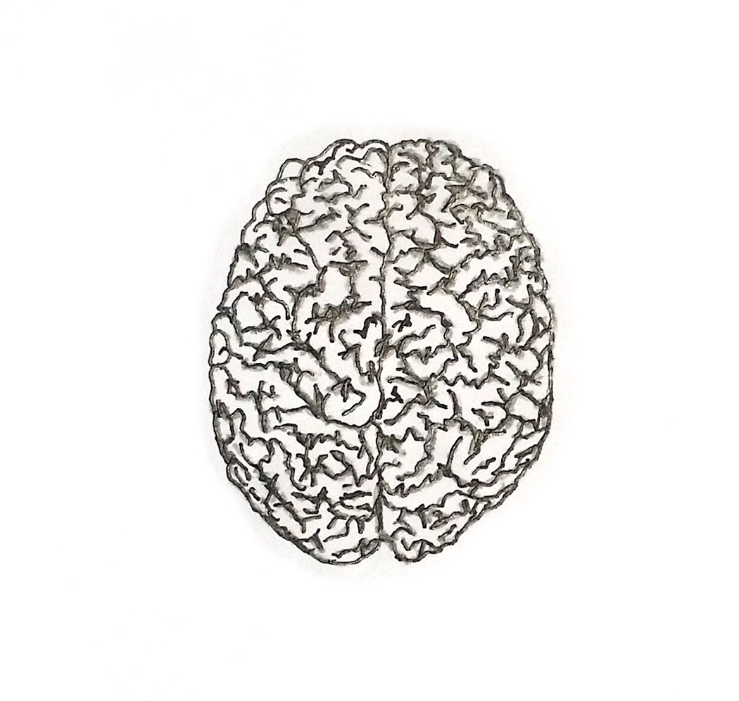 One big brain