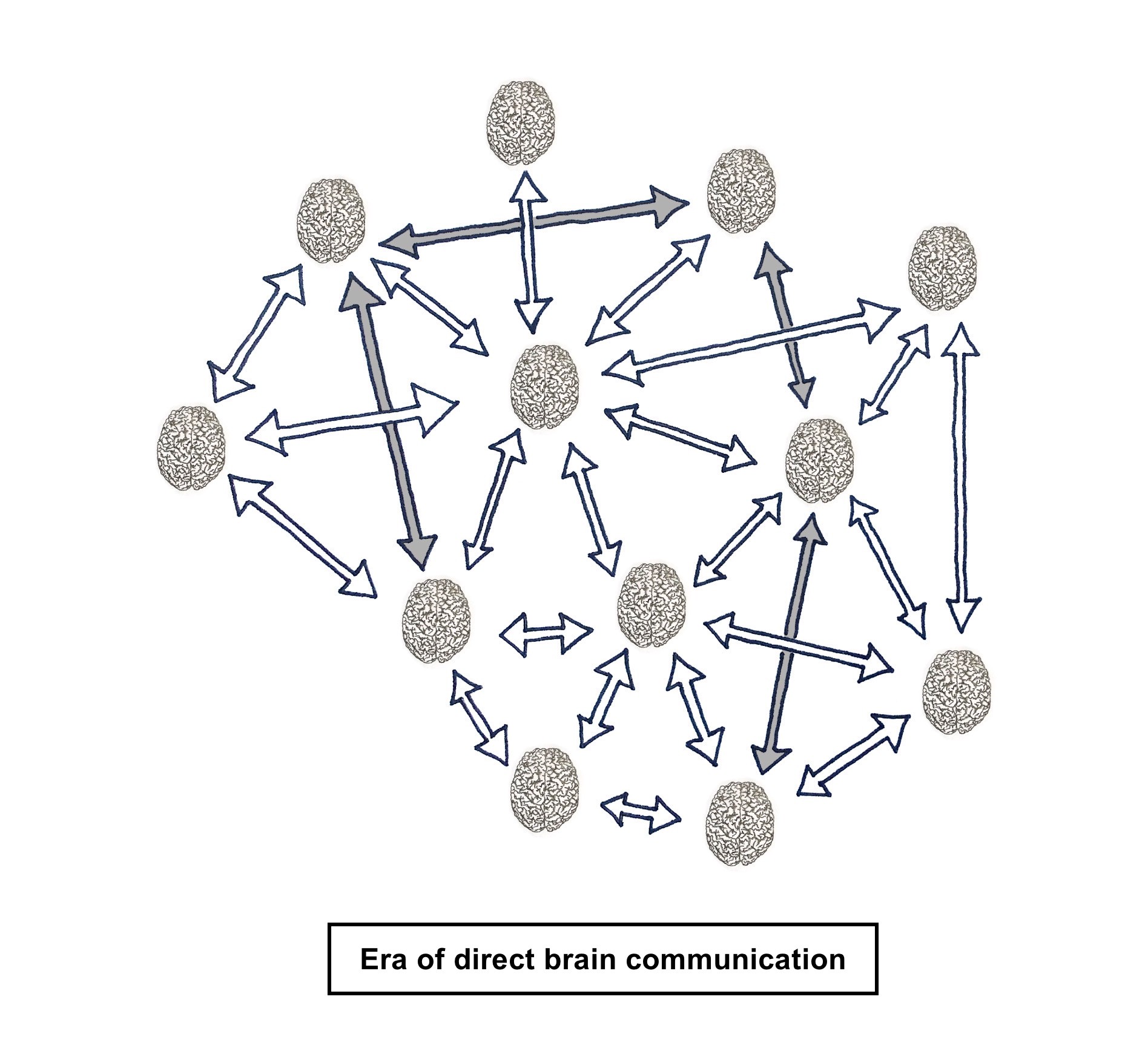 Multiple brains that are directly connected with each other via a brain machine interface