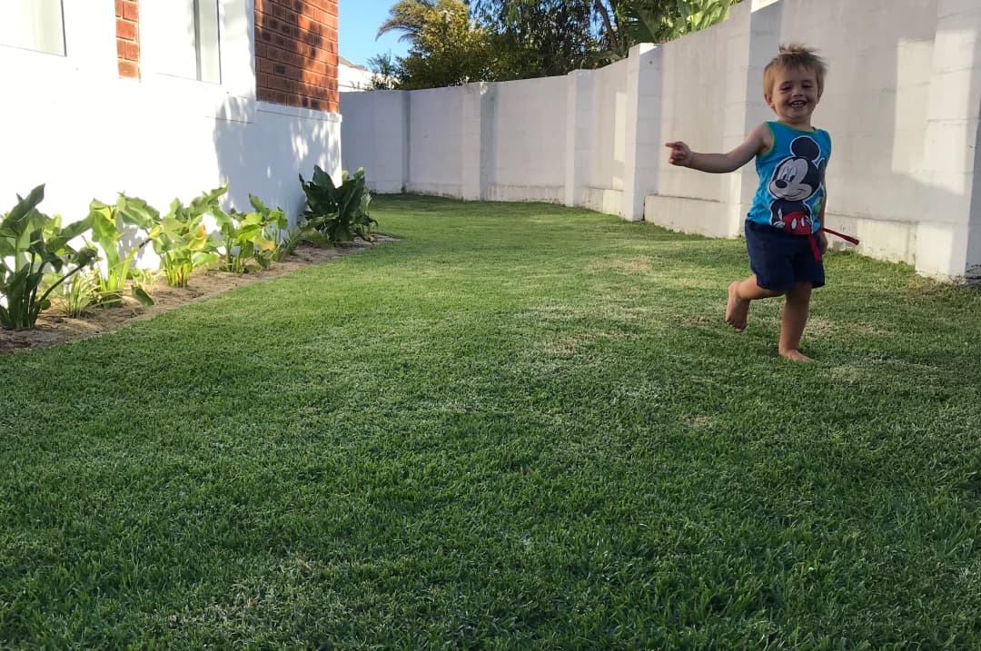 Arlo joyfully running up and down the lawn