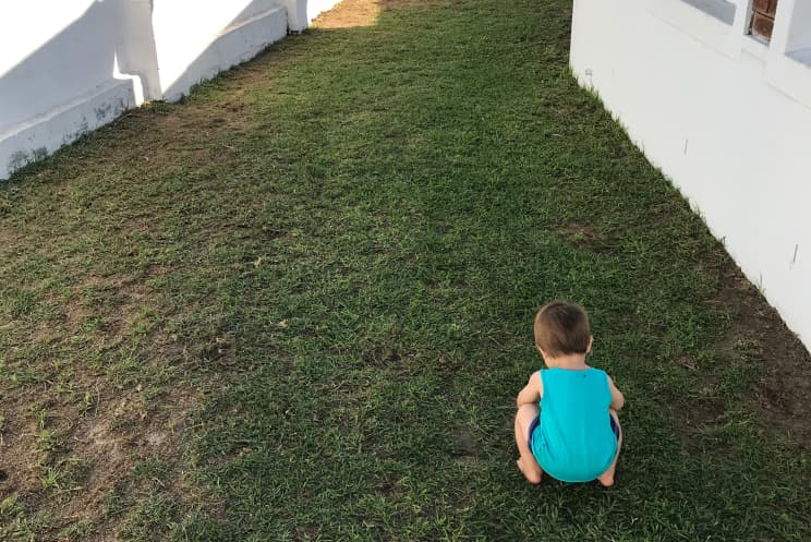 The Viljoen's lawn before I started to work on it