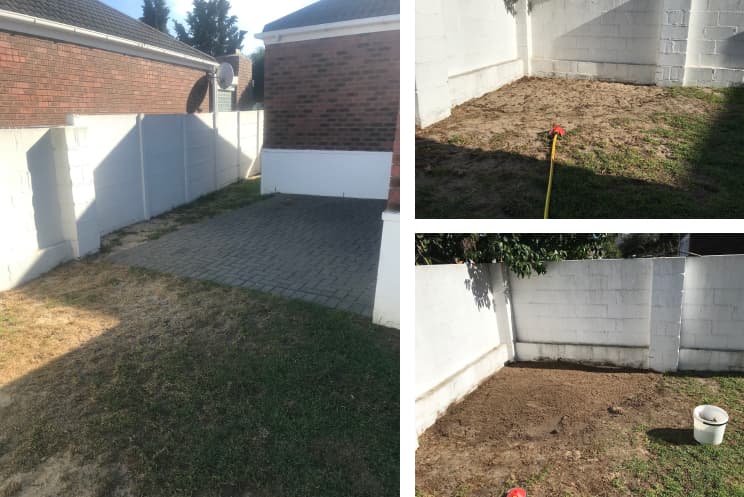 The Viljoen's lawn before I started to work on it